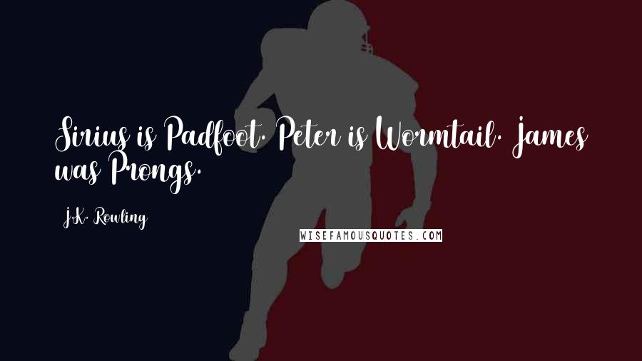 J.K. Rowling Quotes: Sirius is Padfoot. Peter is Wormtail. James was Prongs.