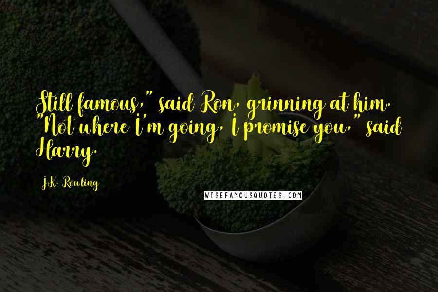 J.K. Rowling Quotes: Still famous," said Ron, grinning at him. "Not where I'm going, I promise you," said Harry.