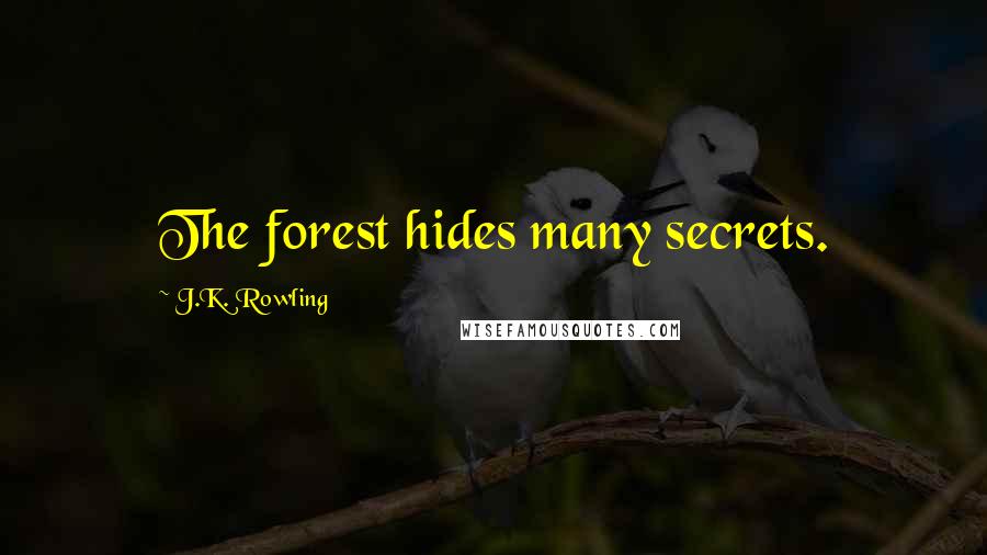 J.K. Rowling Quotes: The forest hides many secrets.