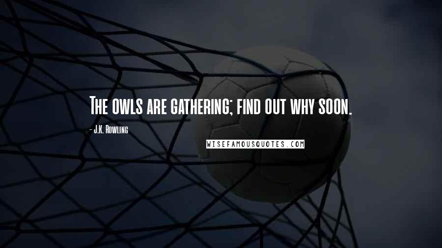 J.K. Rowling Quotes: The owls are gathering; find out why soon.