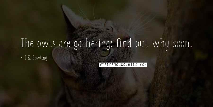 J.K. Rowling Quotes: The owls are gathering; find out why soon.