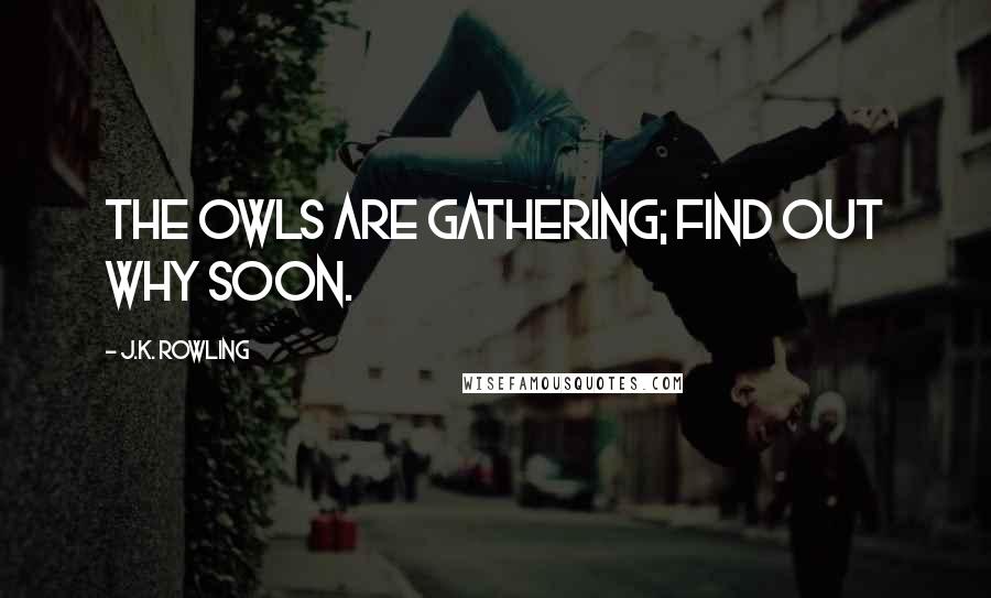 J.K. Rowling Quotes: The owls are gathering; find out why soon.