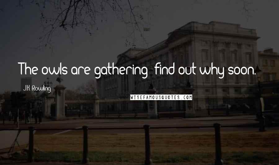 J.K. Rowling Quotes: The owls are gathering; find out why soon.