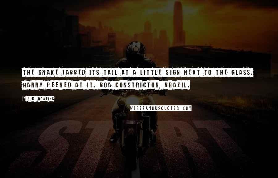 J.K. Rowling Quotes: The snake jabbed its tail at a little sign next to the glass. Harry peered at it. Boa Constrictor, Brazil.