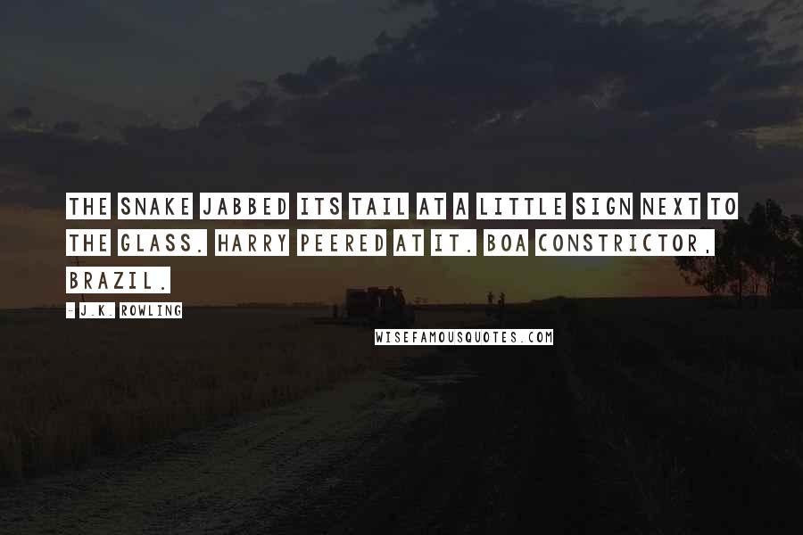J.K. Rowling Quotes: The snake jabbed its tail at a little sign next to the glass. Harry peered at it. Boa Constrictor, Brazil.