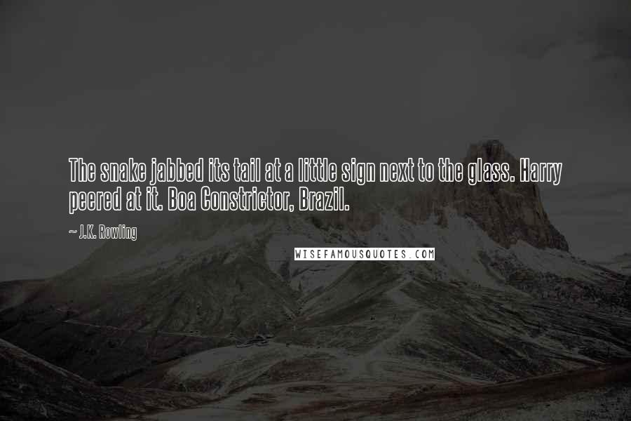 J.K. Rowling Quotes: The snake jabbed its tail at a little sign next to the glass. Harry peered at it. Boa Constrictor, Brazil.