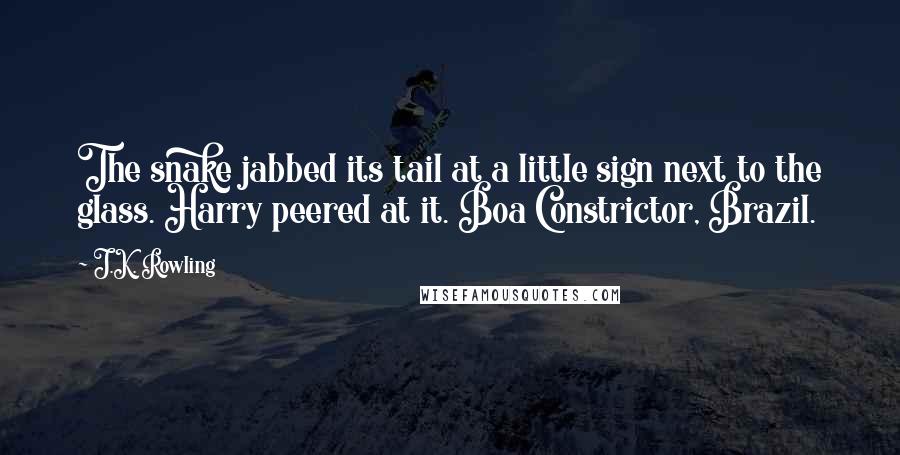 J.K. Rowling Quotes: The snake jabbed its tail at a little sign next to the glass. Harry peered at it. Boa Constrictor, Brazil.