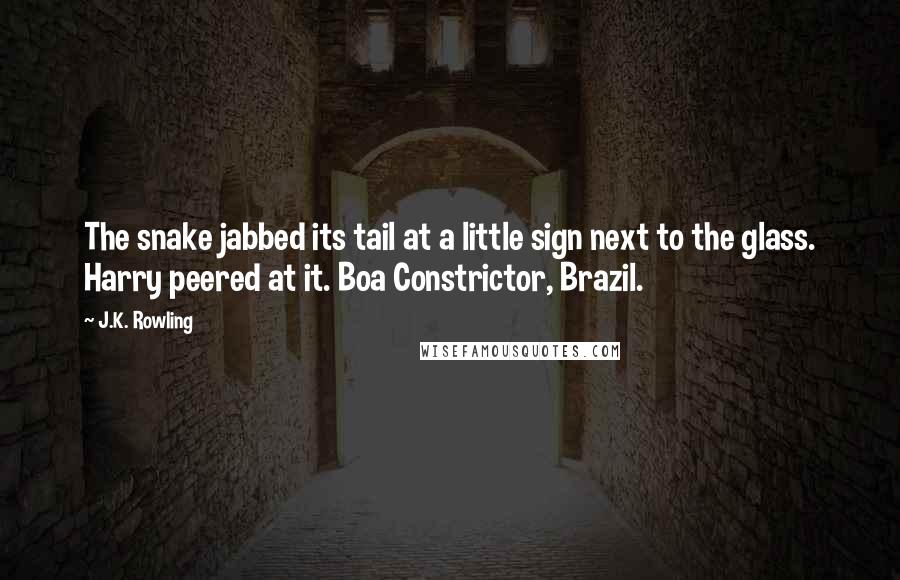 J.K. Rowling Quotes: The snake jabbed its tail at a little sign next to the glass. Harry peered at it. Boa Constrictor, Brazil.