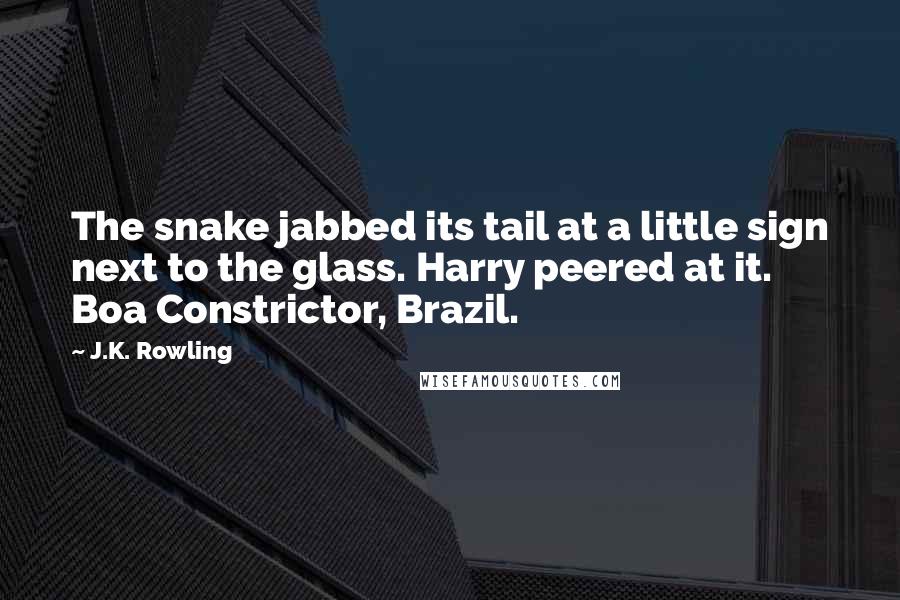 J.K. Rowling Quotes: The snake jabbed its tail at a little sign next to the glass. Harry peered at it. Boa Constrictor, Brazil.