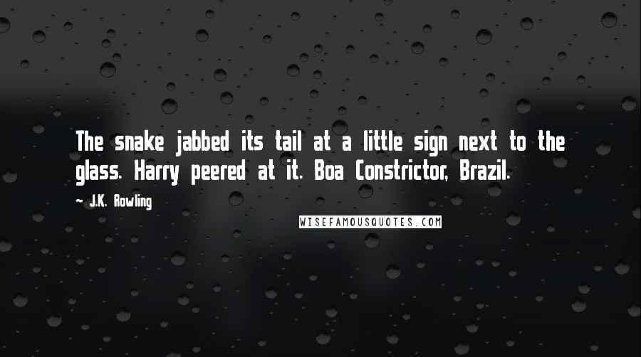 J.K. Rowling Quotes: The snake jabbed its tail at a little sign next to the glass. Harry peered at it. Boa Constrictor, Brazil.