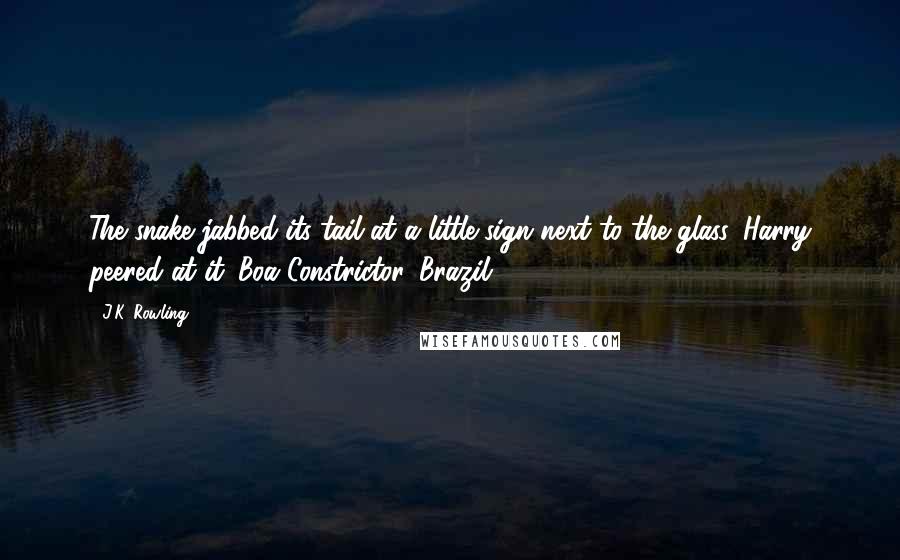 J.K. Rowling Quotes: The snake jabbed its tail at a little sign next to the glass. Harry peered at it. Boa Constrictor, Brazil.