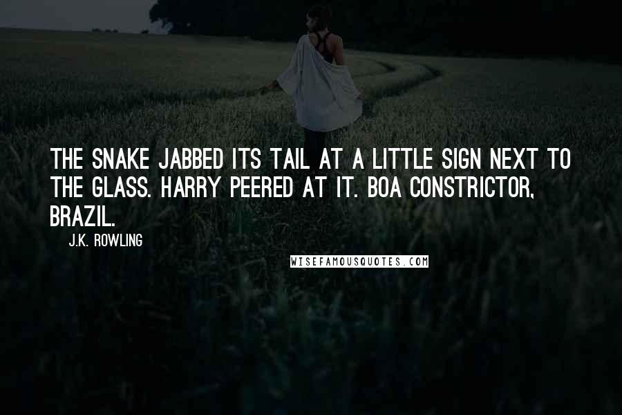 J.K. Rowling Quotes: The snake jabbed its tail at a little sign next to the glass. Harry peered at it. Boa Constrictor, Brazil.