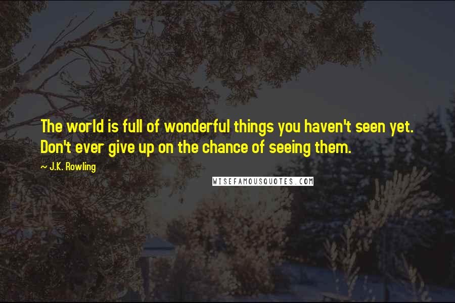 J.K. Rowling Quotes: The world is full of wonderful things you haven't seen yet. Don't ever give up on the chance of seeing them.