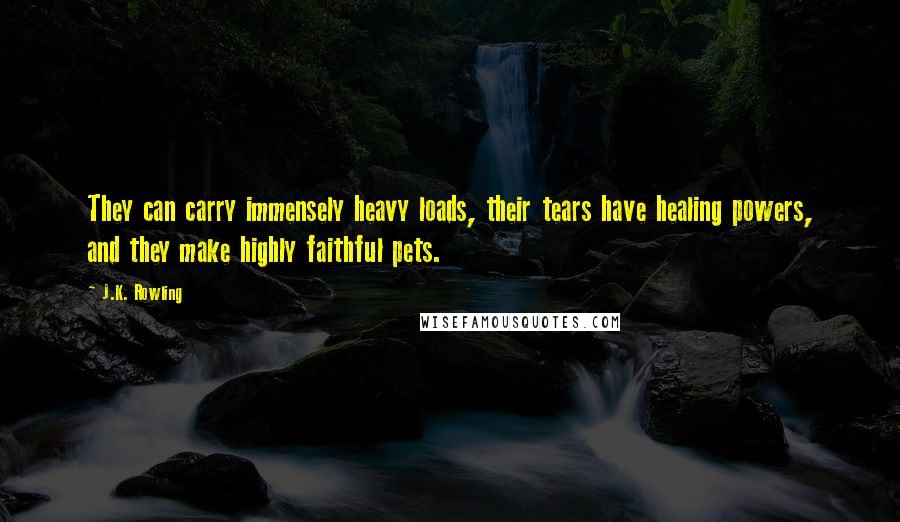 J.K. Rowling Quotes: They can carry immensely heavy loads, their tears have healing powers, and they make highly faithful pets.