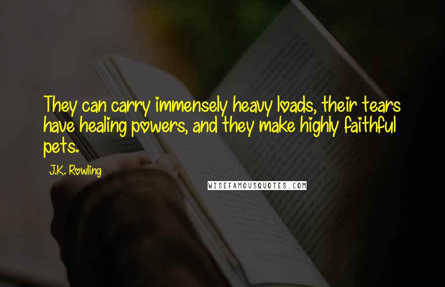 J.K. Rowling Quotes: They can carry immensely heavy loads, their tears have healing powers, and they make highly faithful pets.