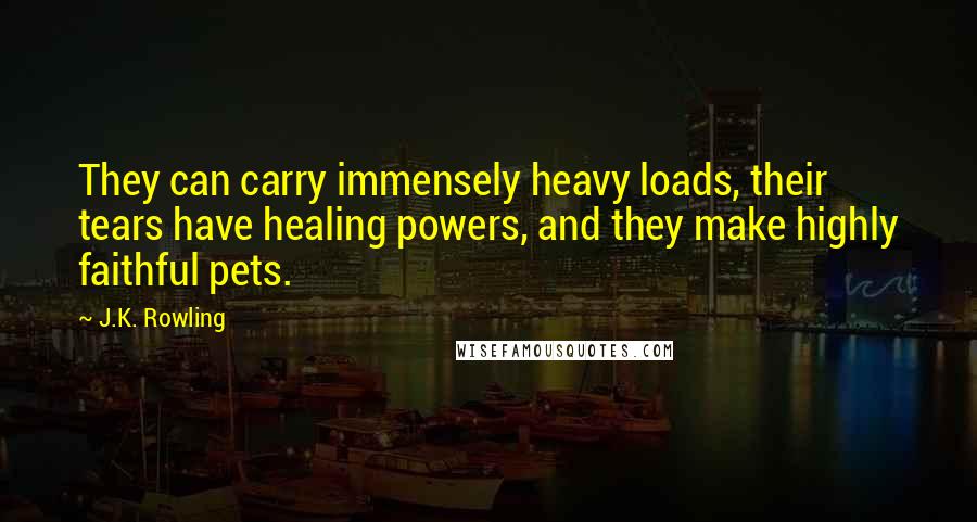 J.K. Rowling Quotes: They can carry immensely heavy loads, their tears have healing powers, and they make highly faithful pets.