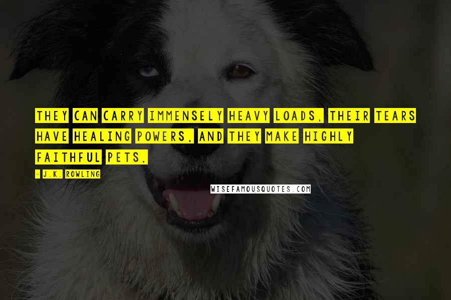 J.K. Rowling Quotes: They can carry immensely heavy loads, their tears have healing powers, and they make highly faithful pets.