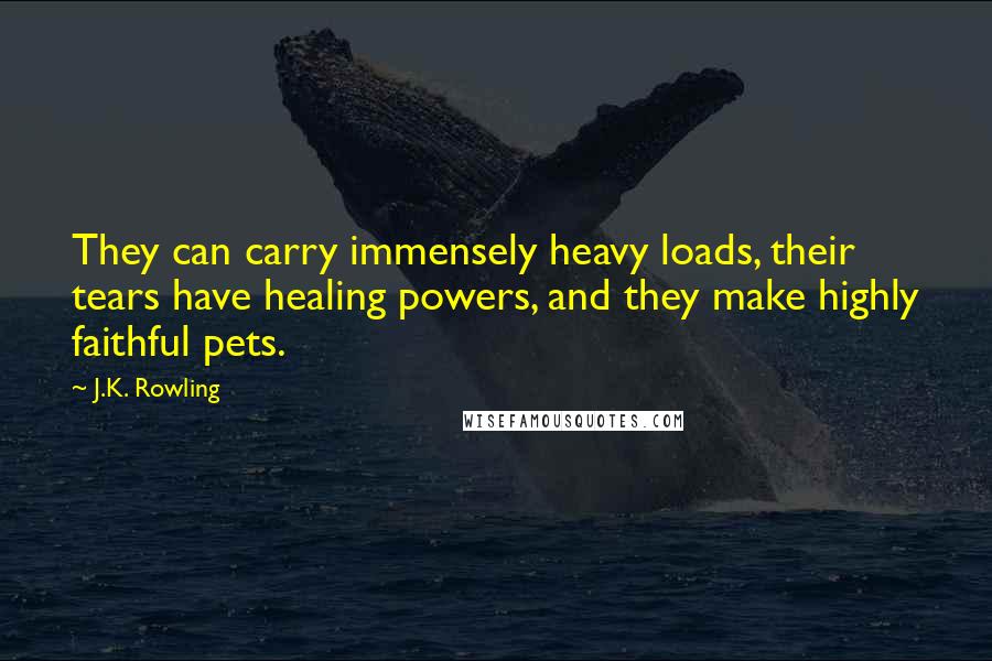 J.K. Rowling Quotes: They can carry immensely heavy loads, their tears have healing powers, and they make highly faithful pets.