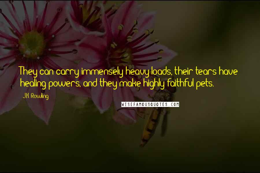 J.K. Rowling Quotes: They can carry immensely heavy loads, their tears have healing powers, and they make highly faithful pets.