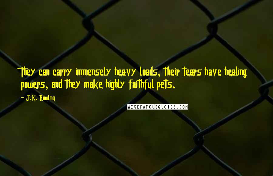 J.K. Rowling Quotes: They can carry immensely heavy loads, their tears have healing powers, and they make highly faithful pets.