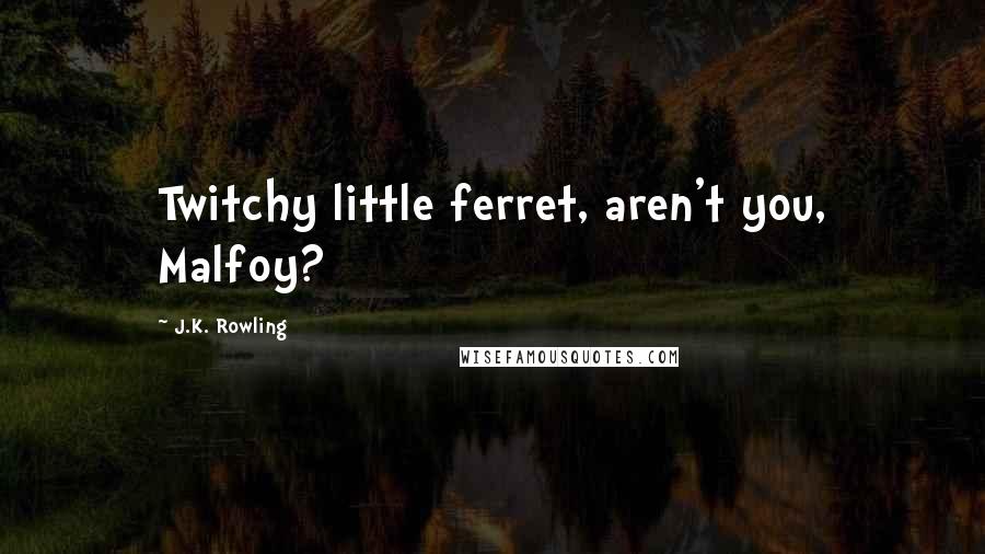 J.K. Rowling Quotes: Twitchy little ferret, aren't you, Malfoy?