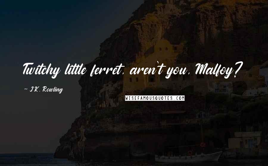 J.K. Rowling Quotes: Twitchy little ferret, aren't you, Malfoy?