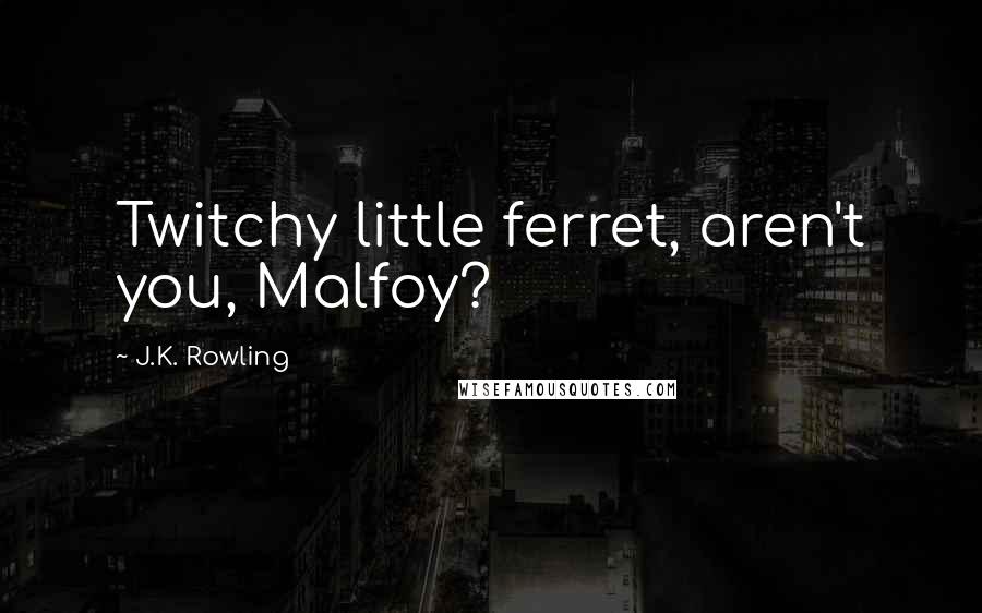 J.K. Rowling Quotes: Twitchy little ferret, aren't you, Malfoy?