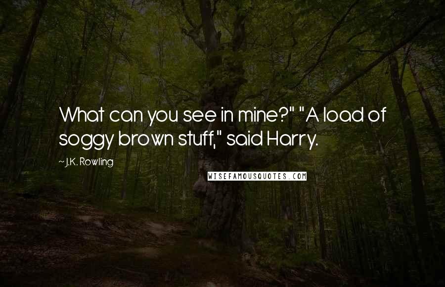 J.K. Rowling Quotes: What can you see in mine?" "A load of soggy brown stuff," said Harry.