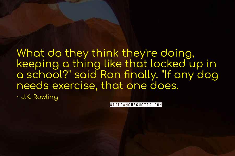 J.K. Rowling Quotes: What do they think they're doing, keeping a thing like that locked up in a school?" said Ron finally. "If any dog needs exercise, that one does.