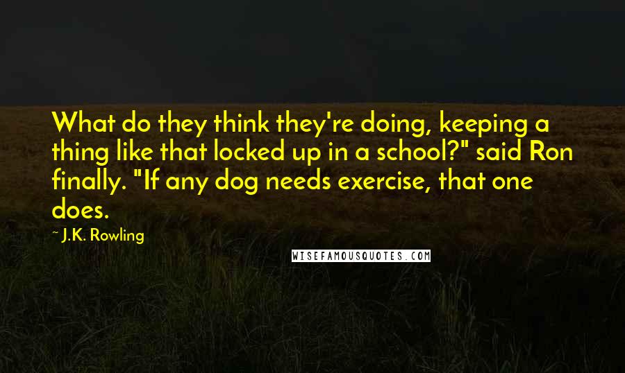 J.K. Rowling Quotes: What do they think they're doing, keeping a thing like that locked up in a school?" said Ron finally. "If any dog needs exercise, that one does.