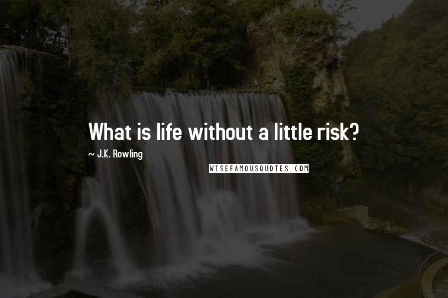 J.K. Rowling Quotes: What is life without a little risk?