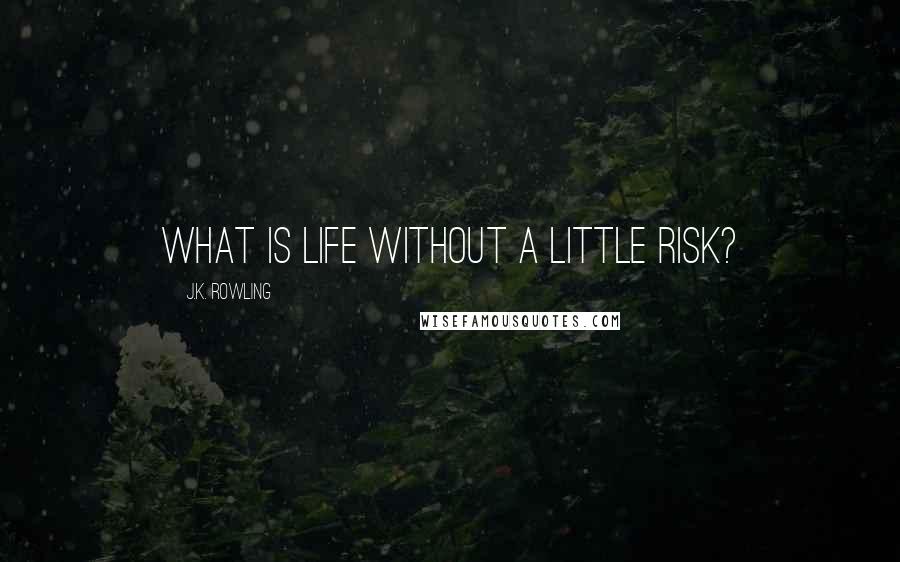 J.K. Rowling Quotes: What is life without a little risk?