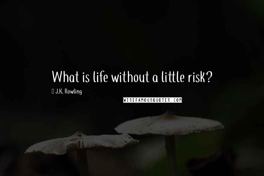 J.K. Rowling Quotes: What is life without a little risk?