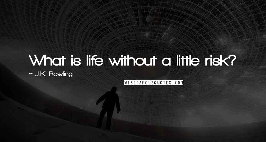 J.K. Rowling Quotes: What is life without a little risk?