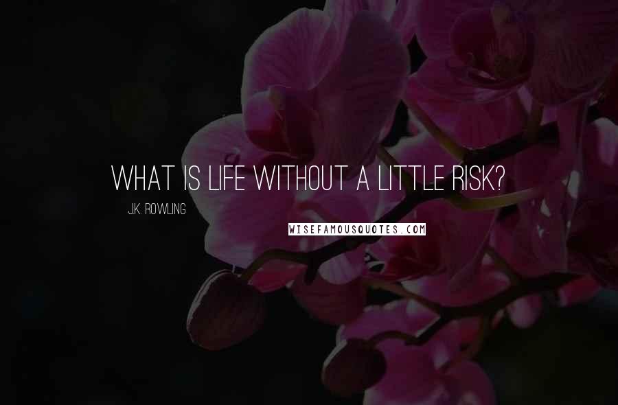 J.K. Rowling Quotes: What is life without a little risk?