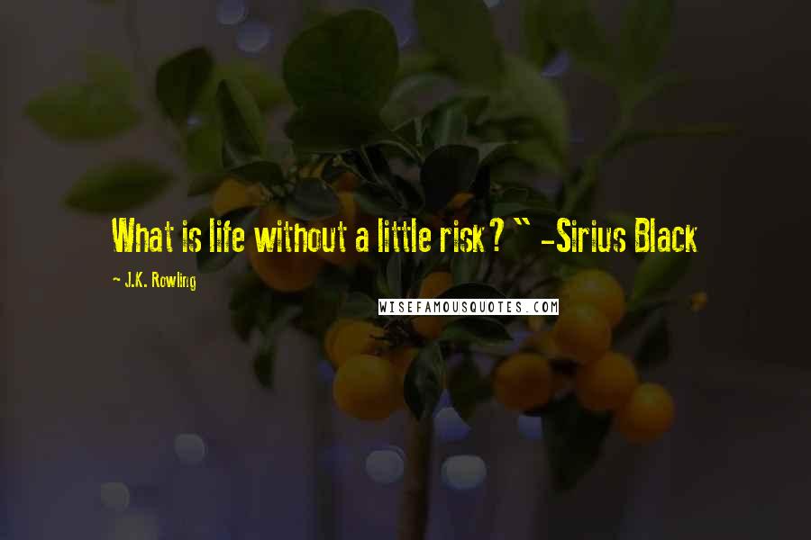 J.K. Rowling Quotes: What is life without a little risk?" -Sirius Black