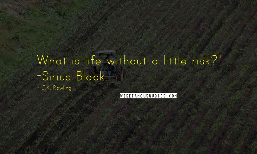 J.K. Rowling Quotes: What is life without a little risk?" -Sirius Black