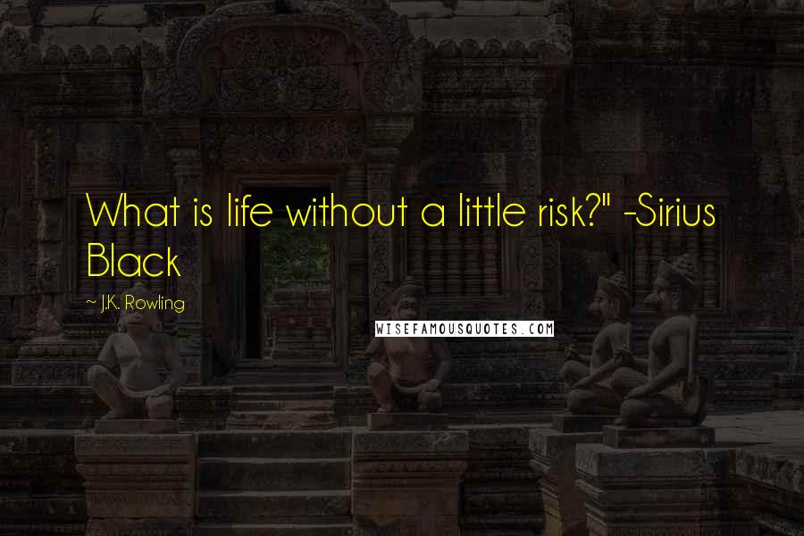 J.K. Rowling Quotes: What is life without a little risk?" -Sirius Black