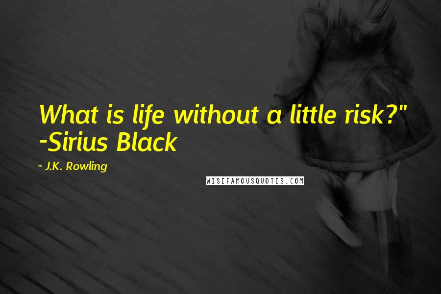 J.K. Rowling Quotes: What is life without a little risk?" -Sirius Black