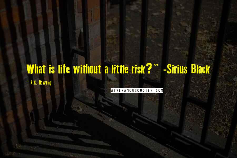 J.K. Rowling Quotes: What is life without a little risk?" -Sirius Black