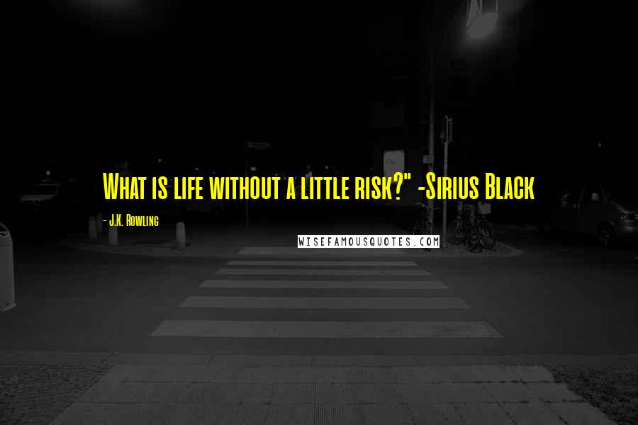 J.K. Rowling Quotes: What is life without a little risk?" -Sirius Black