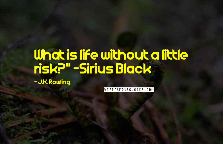 J.K. Rowling Quotes: What is life without a little risk?" -Sirius Black