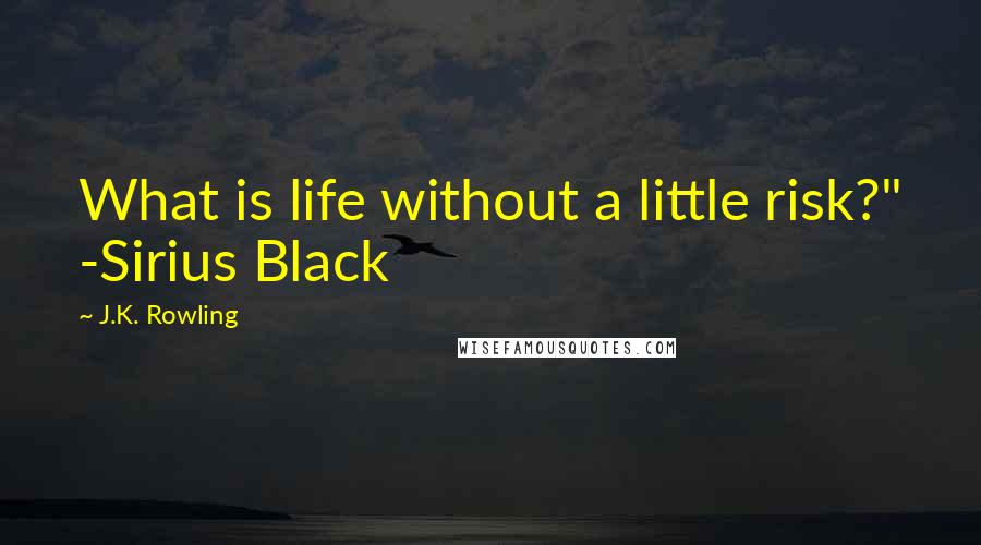 J.K. Rowling Quotes: What is life without a little risk?" -Sirius Black