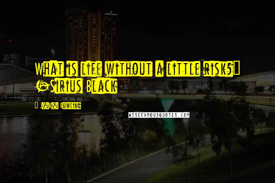 J.K. Rowling Quotes: What is life without a little risk?" -Sirius Black