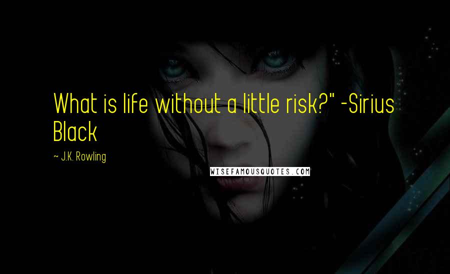 J.K. Rowling Quotes: What is life without a little risk?" -Sirius Black