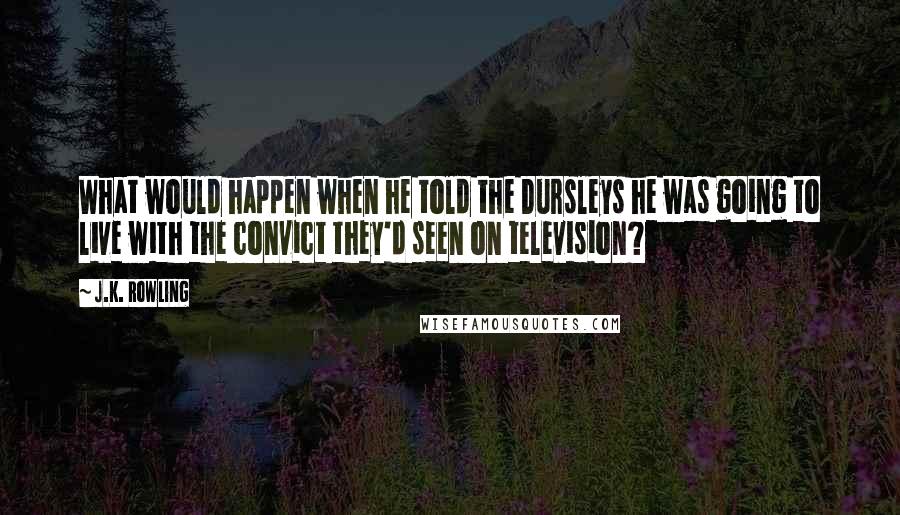 J.K. Rowling Quotes: What would happen when he told the Dursleys he was going to live with the convict they'd seen on television?
