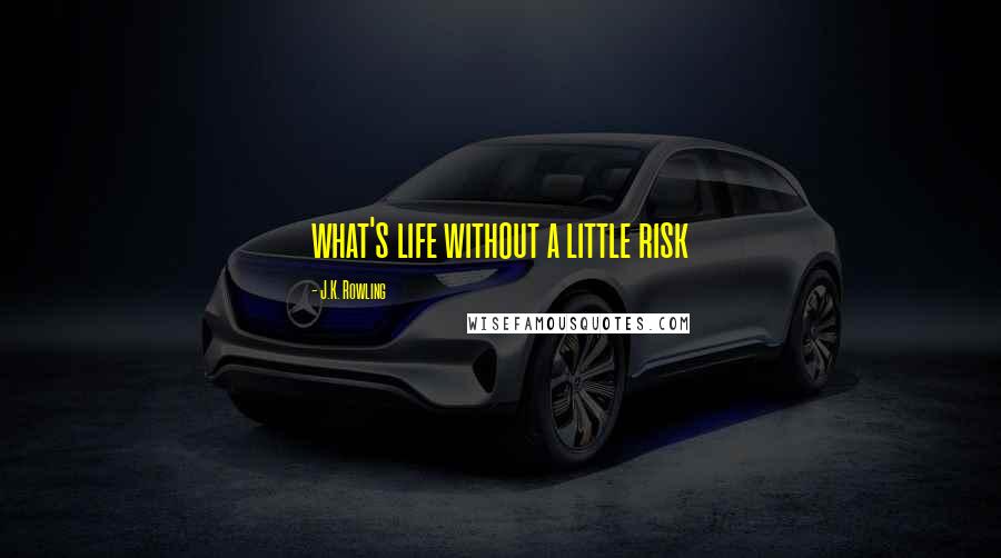 J.K. Rowling Quotes: what's life without a little risk