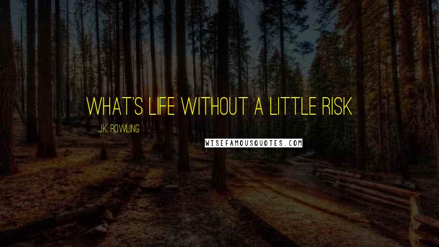 J.K. Rowling Quotes: what's life without a little risk