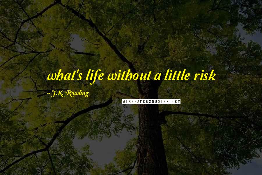 J.K. Rowling Quotes: what's life without a little risk