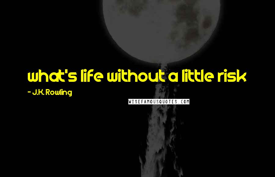 J.K. Rowling Quotes: what's life without a little risk